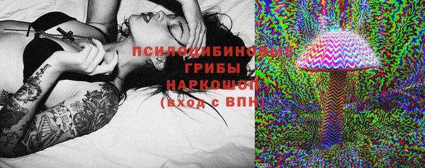 мдма Ельня