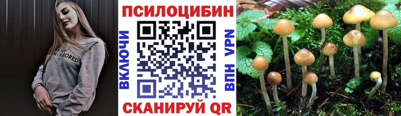 хочу наркоту  Волгодонск  мега рабочий сайт  Галлюциногенные грибы Magic Shrooms 