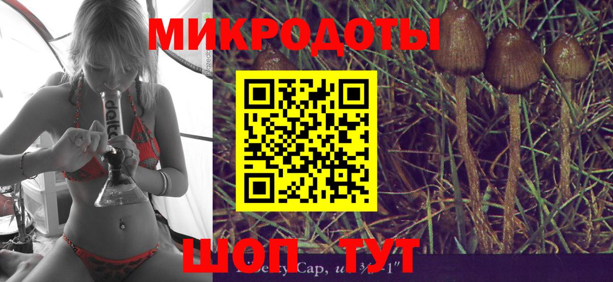 что такое наркотик  Вход с VPN  Волгодонск  Галлюциногенные грибы GOLDEN TEACHER 