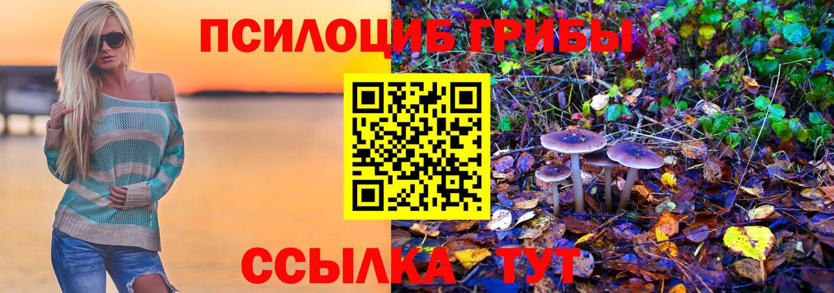 Псилоцибиновые грибы GOLDEN TEACHER Волгодонск