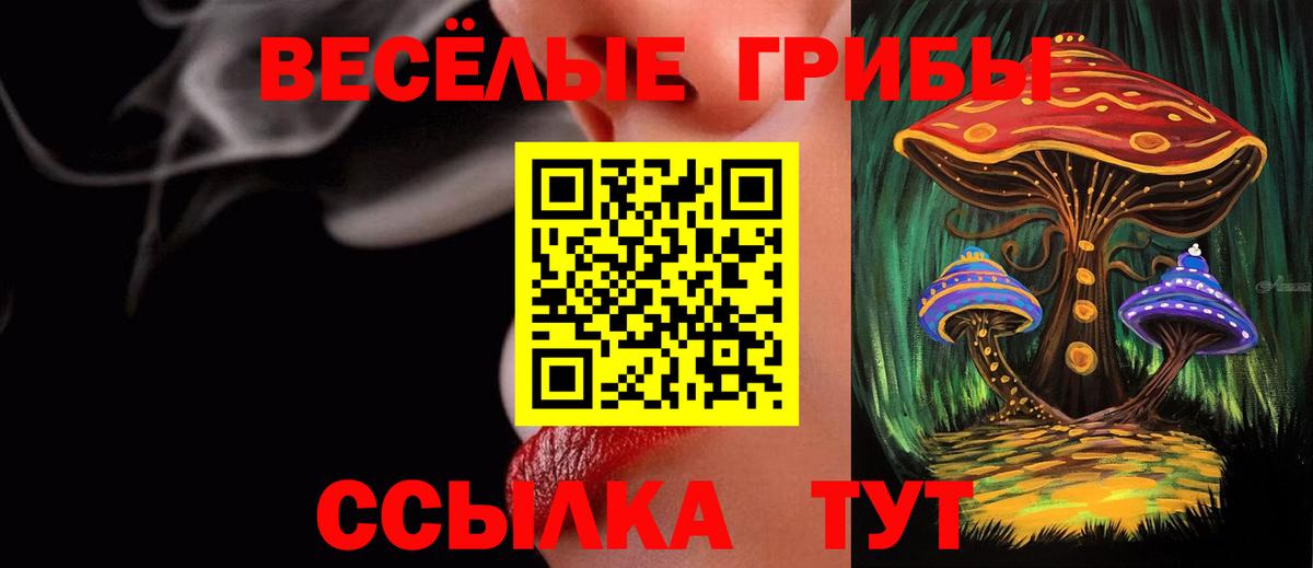 Псилоцибиновые грибы MAGIC MUSHROOMS Волгодонск