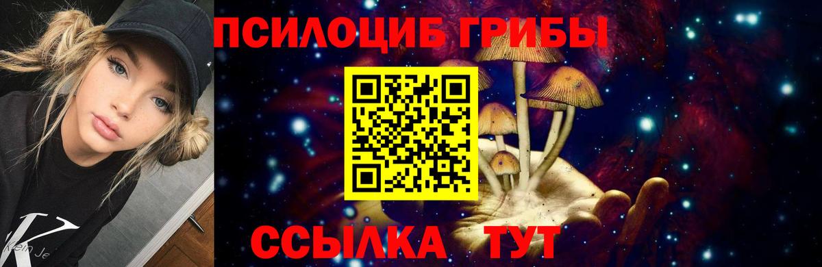 Галлюциногенные грибы мицелий  Волгодонск  Галлюциногенные грибы Cubensis 